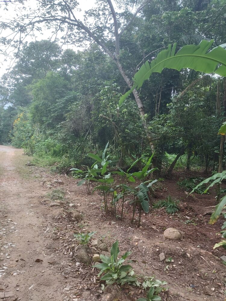 Terreno, 1000 m² - Foto 2