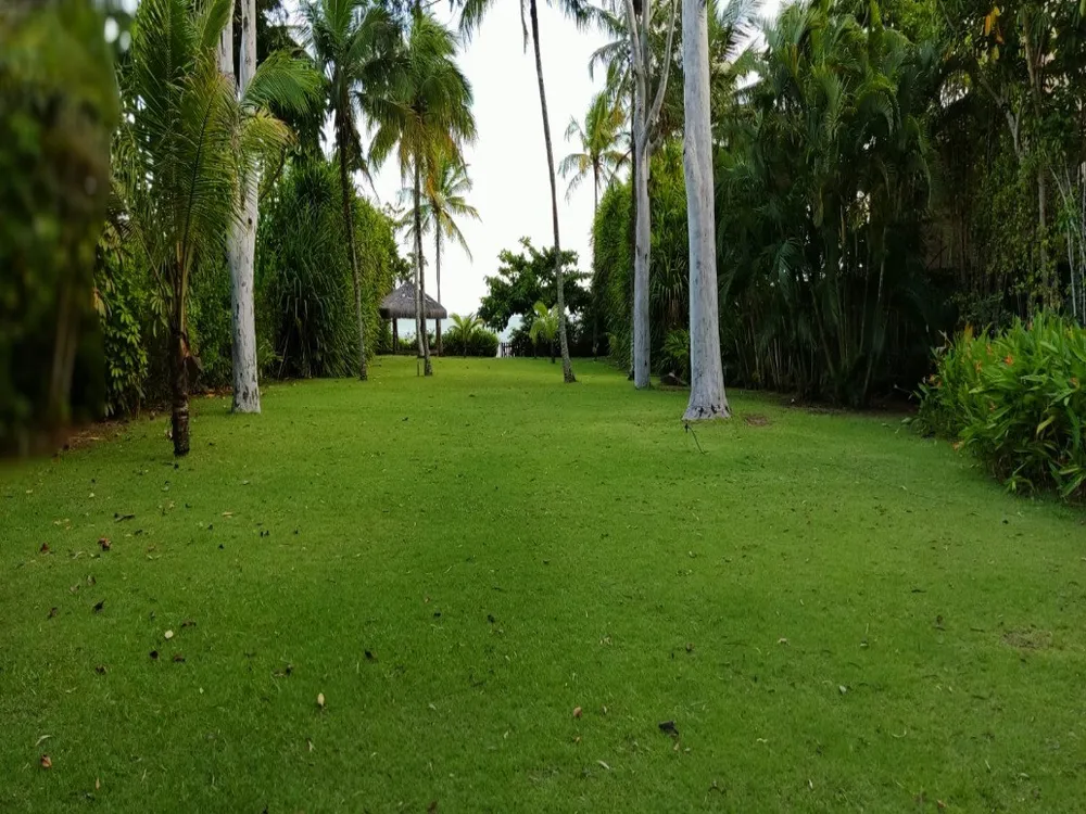 Terreno, 4600 m² - Foto 4