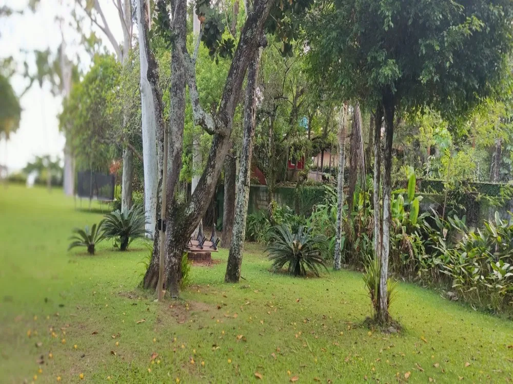 Terreno, 4600 m² - Foto 5