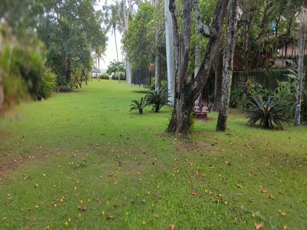 Terreno à venda, 4600m² - Foto 2