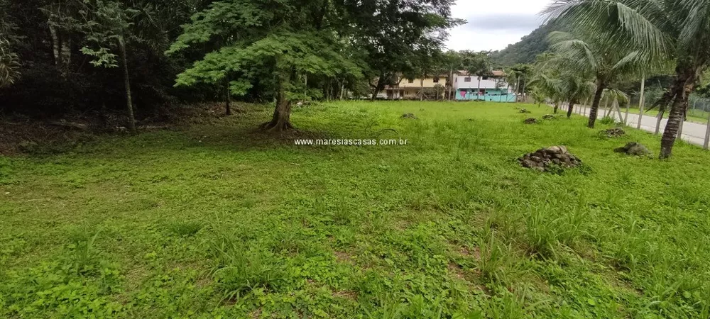 Loteamento e Condomínio à venda, 3000m² - Foto 4