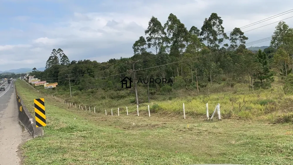 Terreno, 4 hectares - Foto 3
