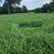 Terreno, 73 m² - Foto 3