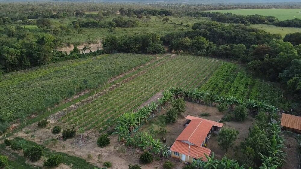 Fazenda, 33 hectares - Foto 2