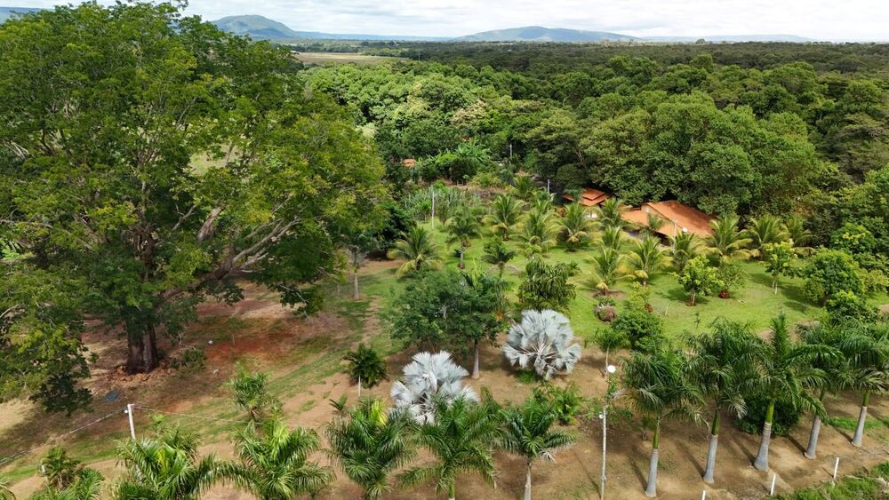 Fazenda, 33 hectares - Foto 4