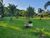 Fazenda, 33 hectares - Foto 3
