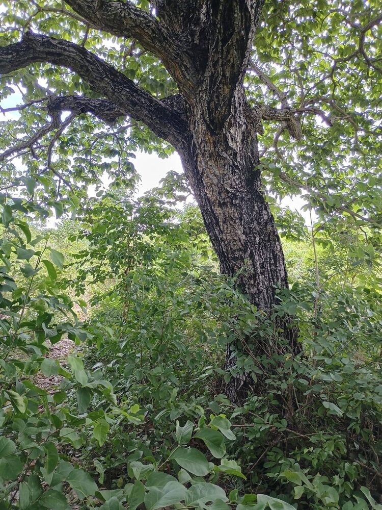 Terreno, 500 m² - Foto 1