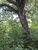 Terreno, 500 m² - Foto 1