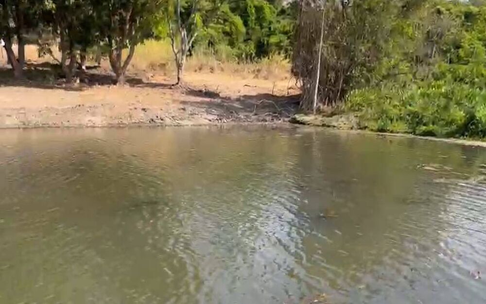 Fazenda à venda com 5 quartos, 10m² - Foto 2