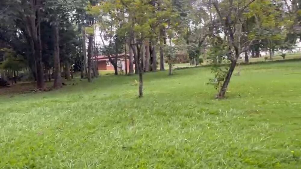 Fazenda à venda com 5 quartos, 10m² - Foto 4