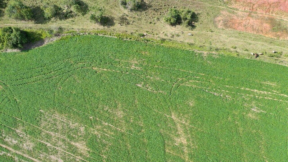 Terreno à venda, 390000m² - Foto 4