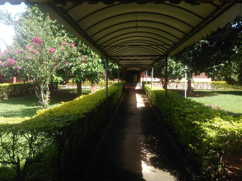 Terreno, 1000 m² - Foto 4