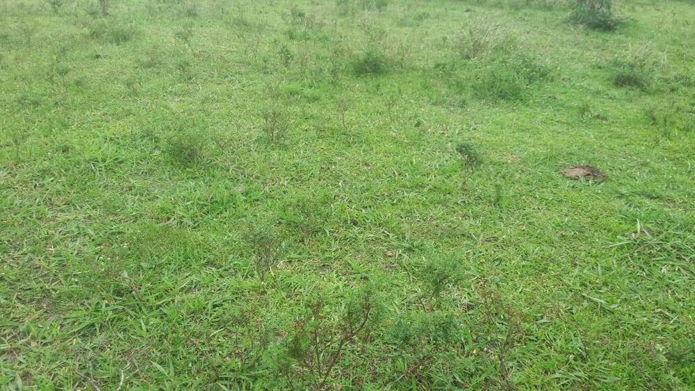 Terreno à venda, 14m² - Foto 2