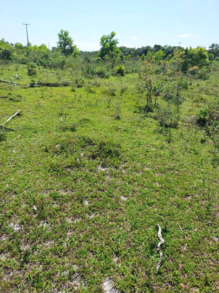 Terreno à venda, 14m² - Foto 1