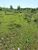 Terreno, 14 m² - Foto 1