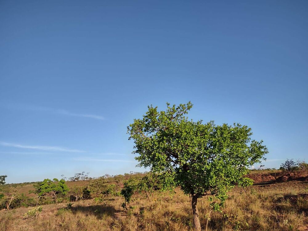 Terreno, 1046 m² - Foto 12