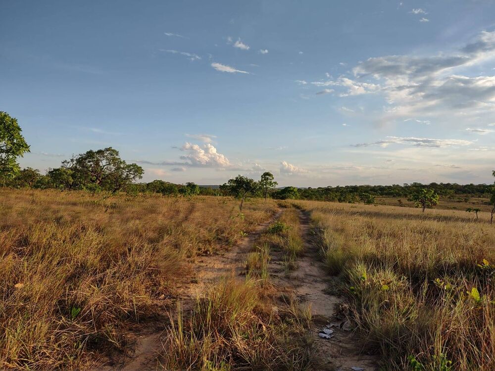 Terreno, 1046 m² - Foto 9