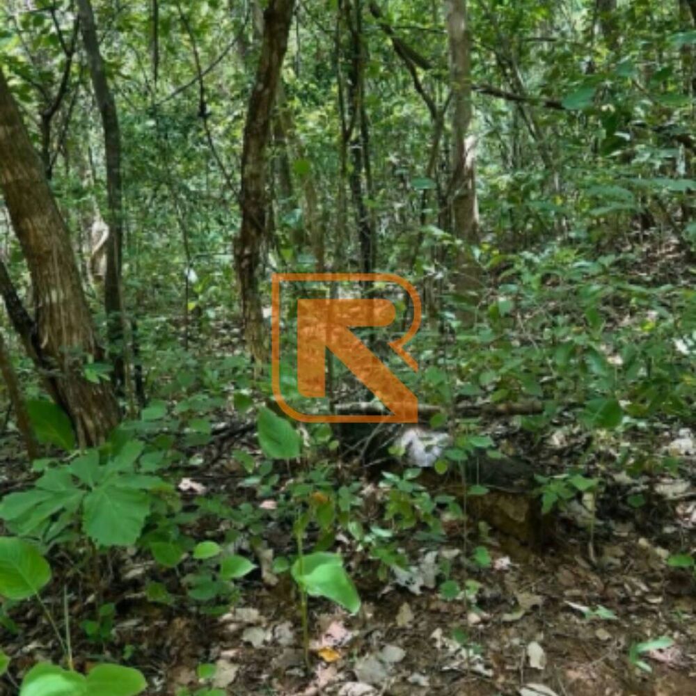 Terreno, 103 hectares - Foto 2