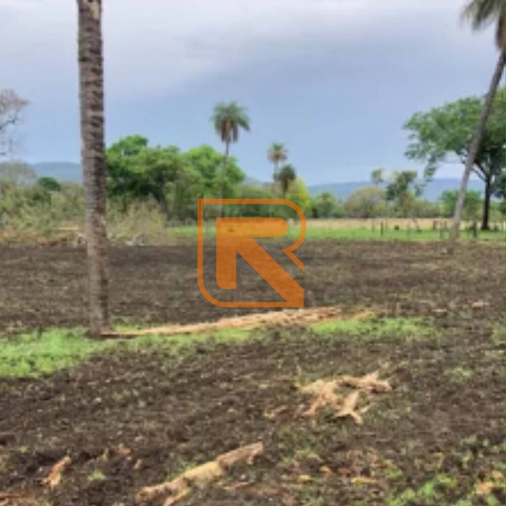 Terreno, 103 hectares - Foto 4