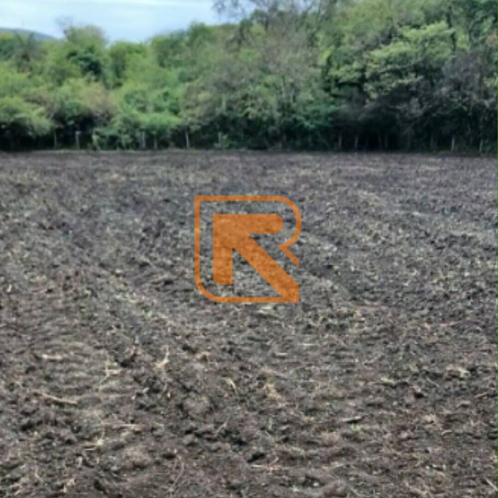 Terreno, 103 hectares - Foto 3