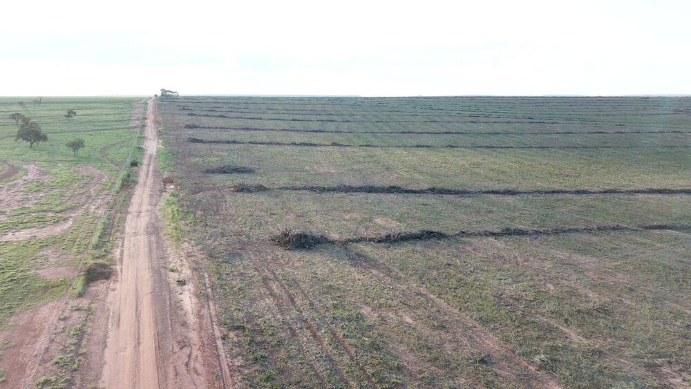 Terreno, 1100 m² - Foto 2