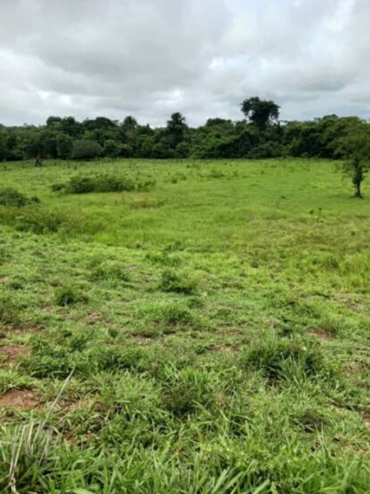 Terreno à venda, 18m² - Foto 4