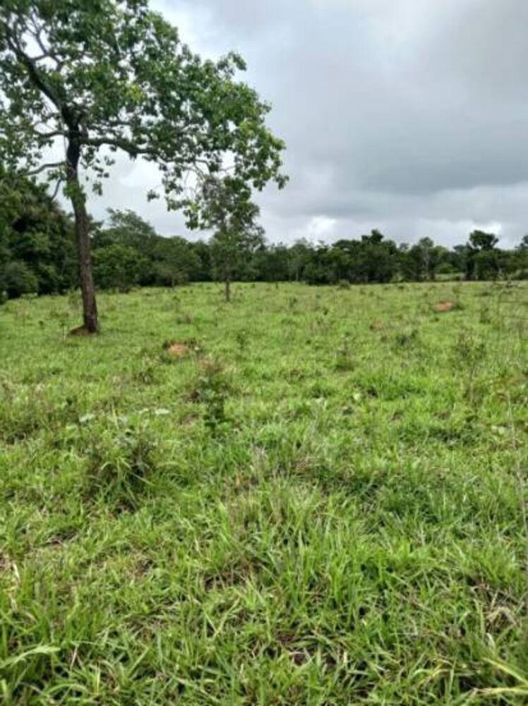 Terreno à venda, 18m² - Foto 3
