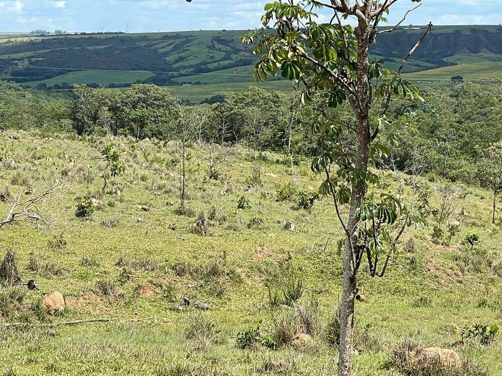 Terreno, 24 m² - Foto 2