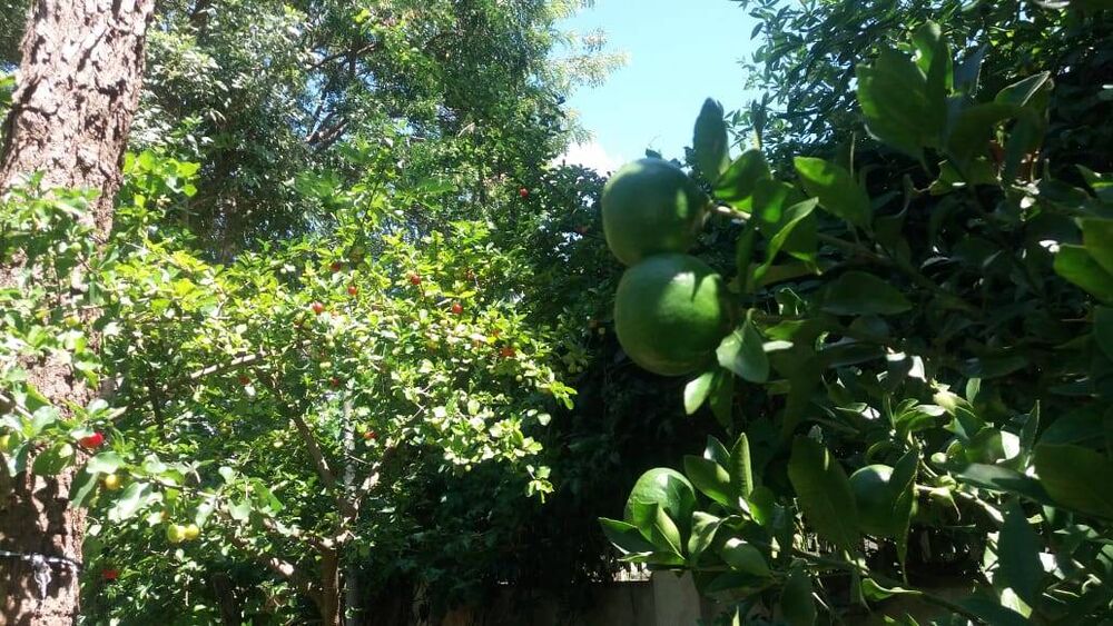 Terreno à venda, 170m² - Foto 4