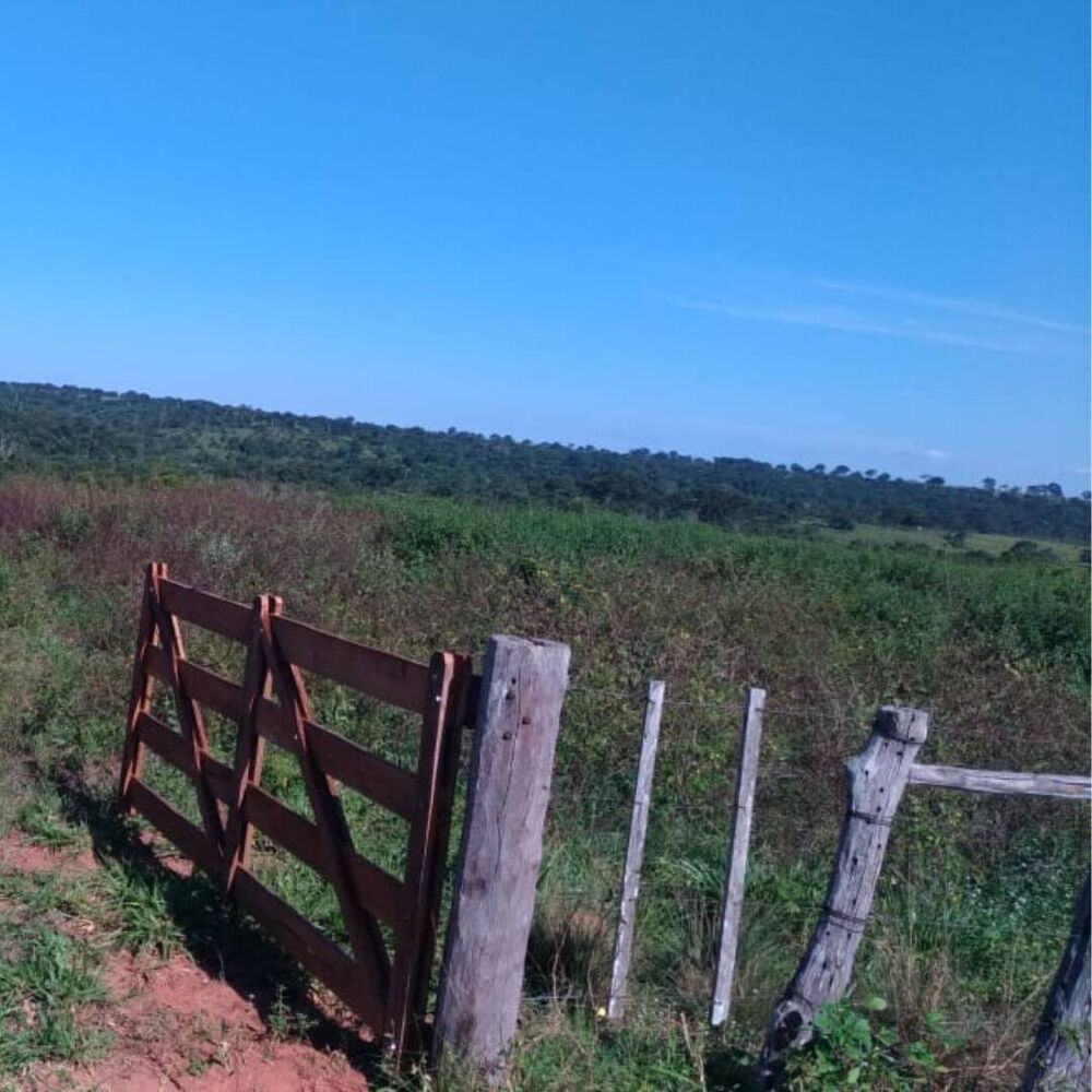 Fazenda à venda com 3 quartos, 581m² - Foto 7