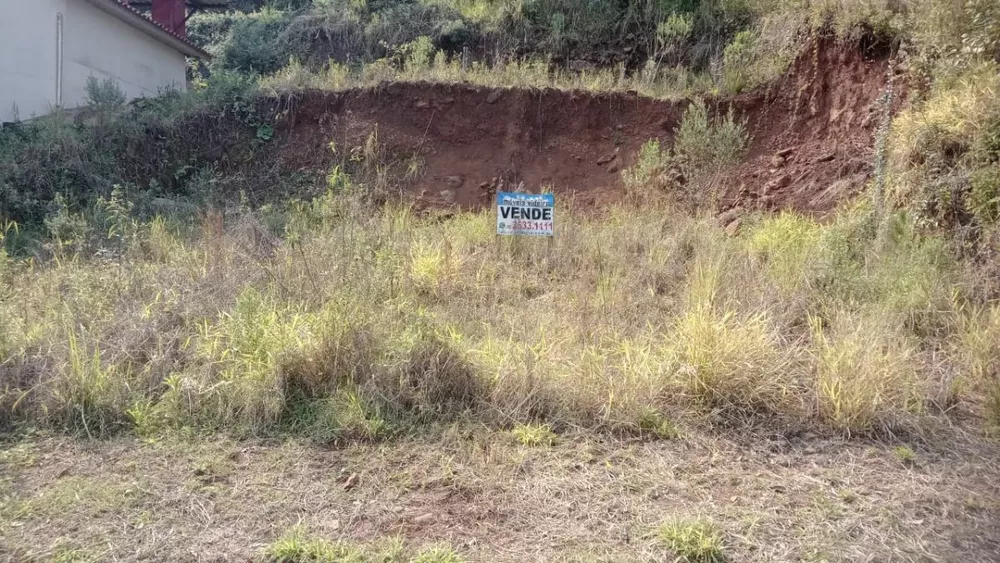 Terreno à venda, 393 - Foto 4