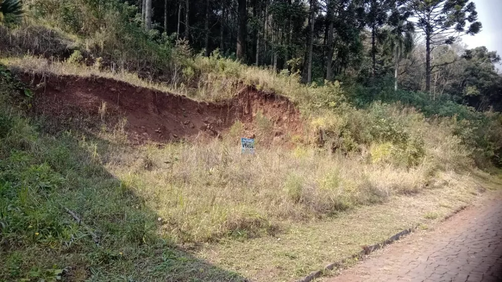 Terreno à venda, 393 - Foto 3