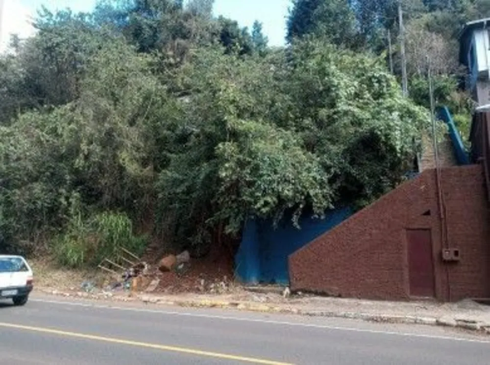 Terreno, 300 m² - Foto 4