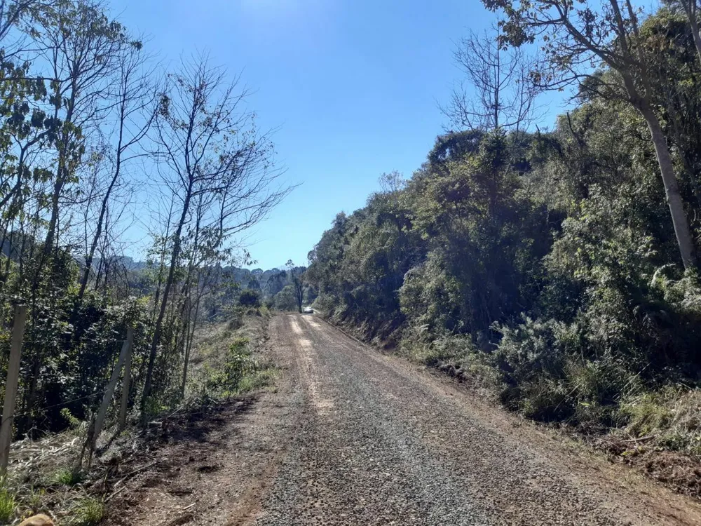Fazenda - Foto 10