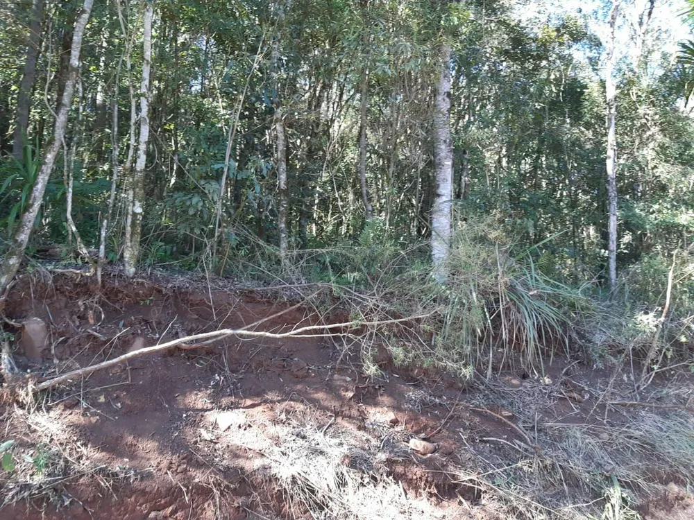 Fazenda - Foto 11