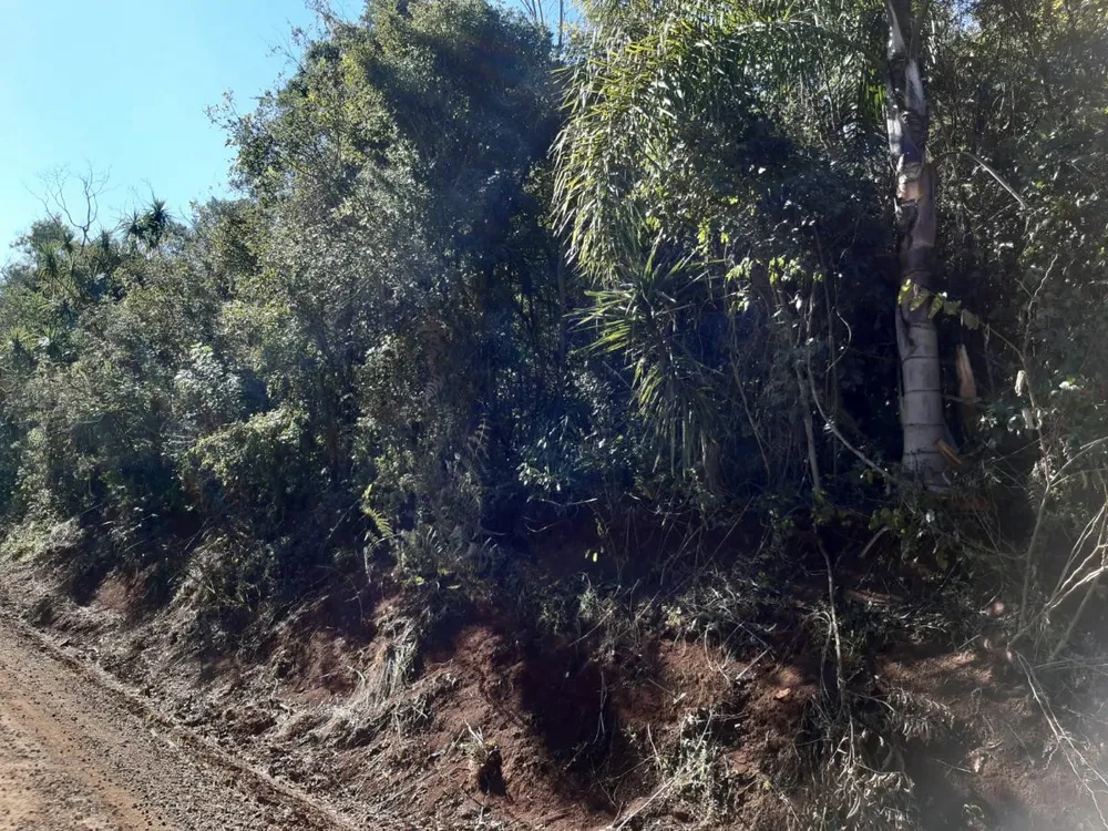 Fazenda - Foto 14