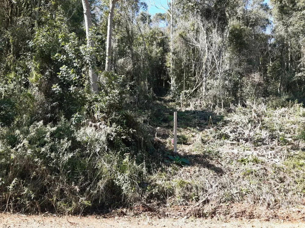 Fazenda - Foto 15