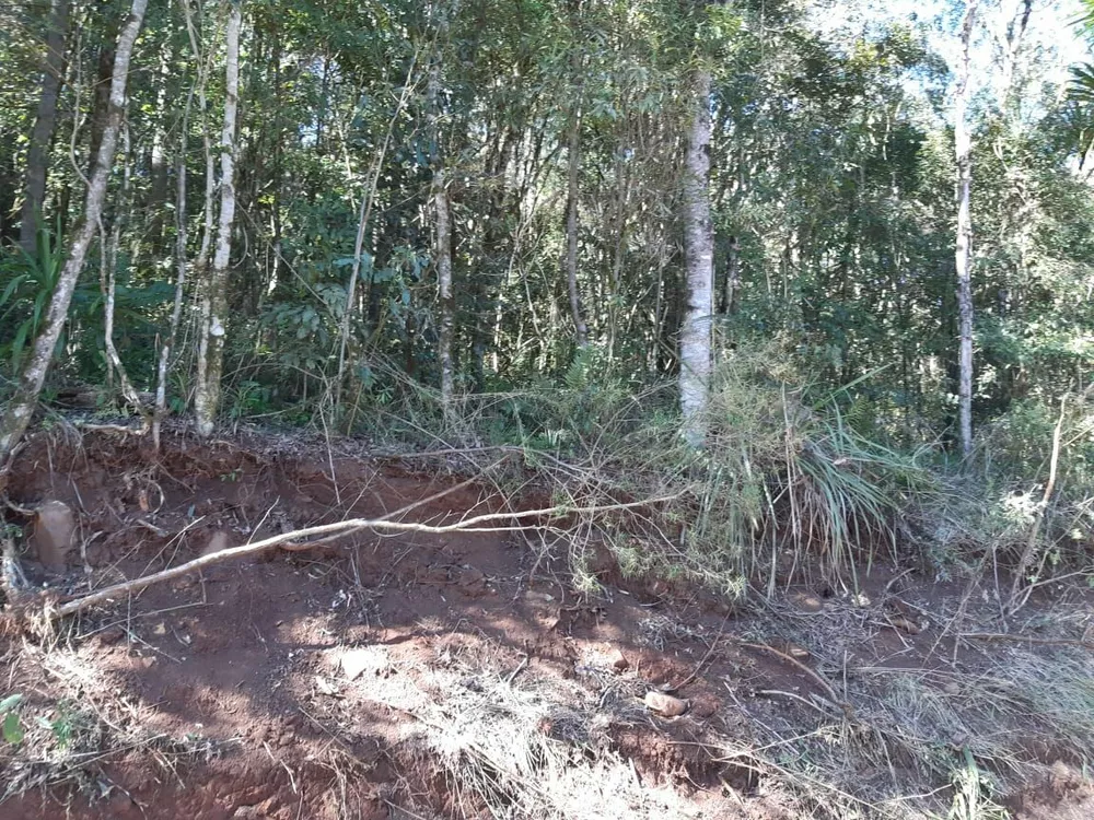 Fazenda - Foto 3