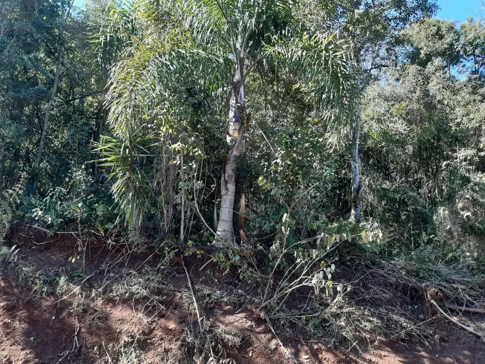 Fazenda - Foto 16