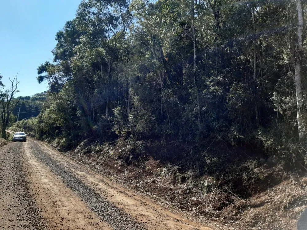 Fazenda - Foto 13