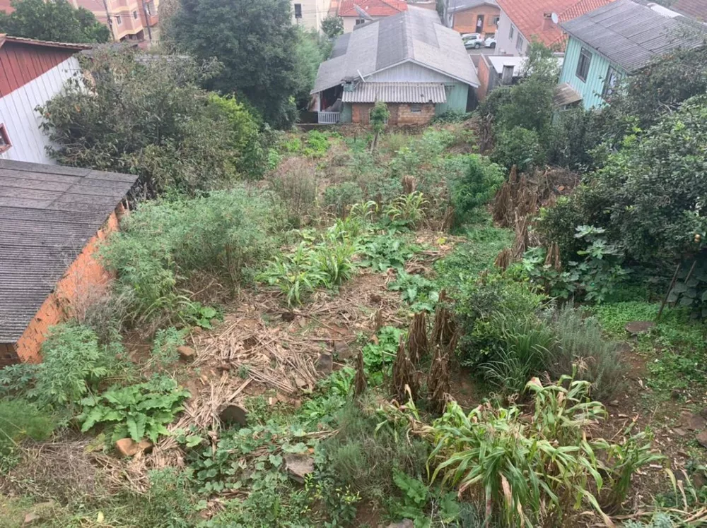 Terreno, 351 m² - Foto 3