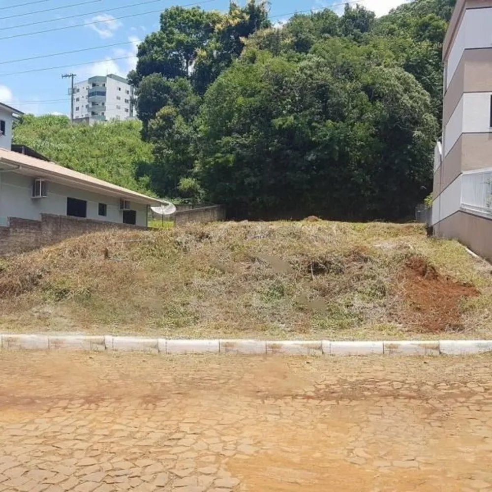 Terreno - Foto 6