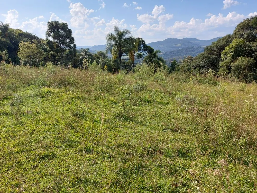 Fazenda - Foto 17