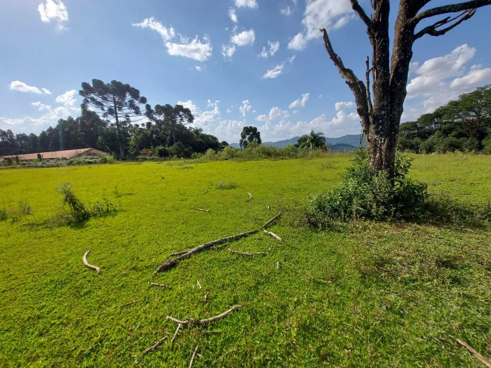 Fazenda - Foto 14