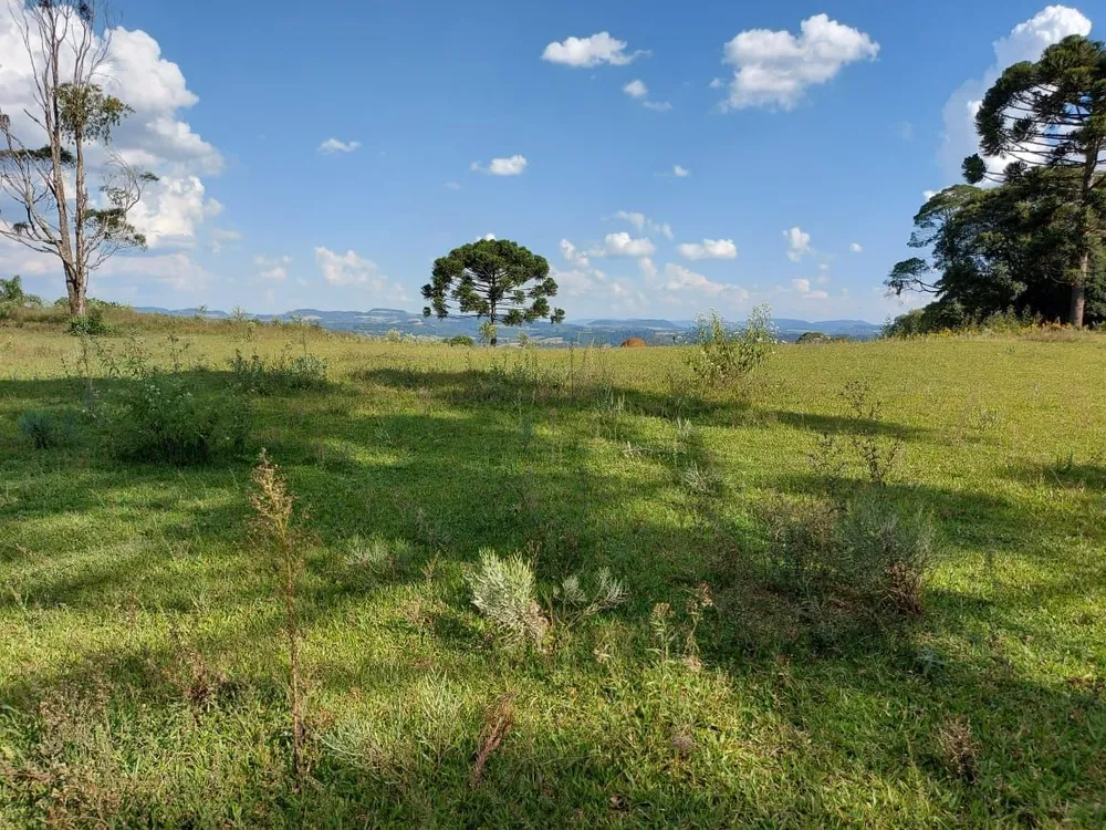 Fazenda - Foto 16