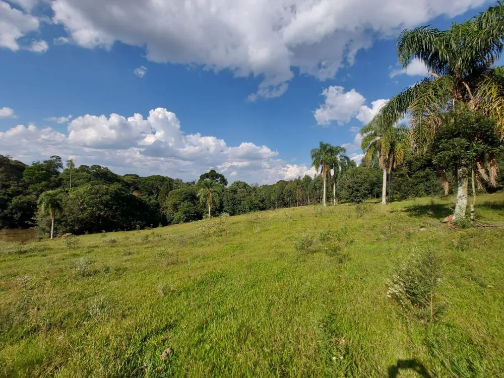 Fazenda - Foto 15