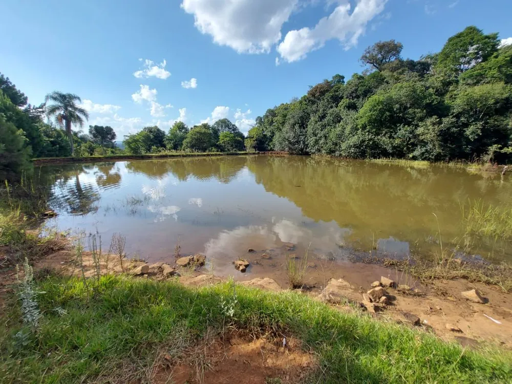 Fazenda - Foto 12
