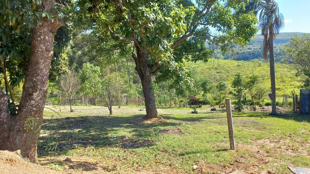 Sítio, 4 quartos, 8 hectares - Foto 4