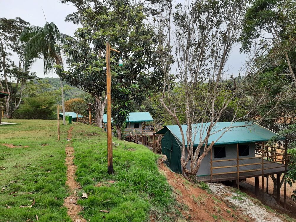 Sítio à venda, 8m² - Foto 10