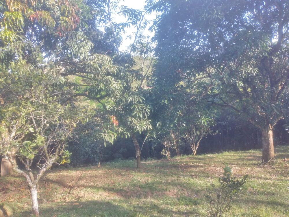 Chácara, 3 quartos, 1 hectares - Foto 11